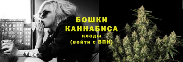apvp Богданович