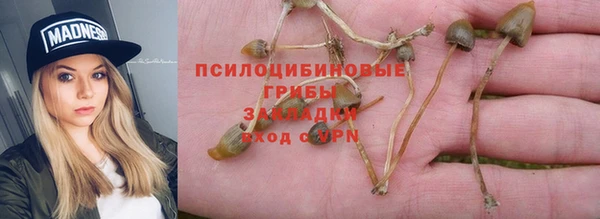 сатива Белоозёрский