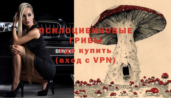 молекула духа Богородск