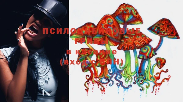 сатива Белоозёрский